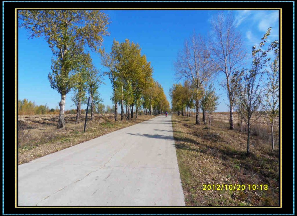 SDC12911.jpg