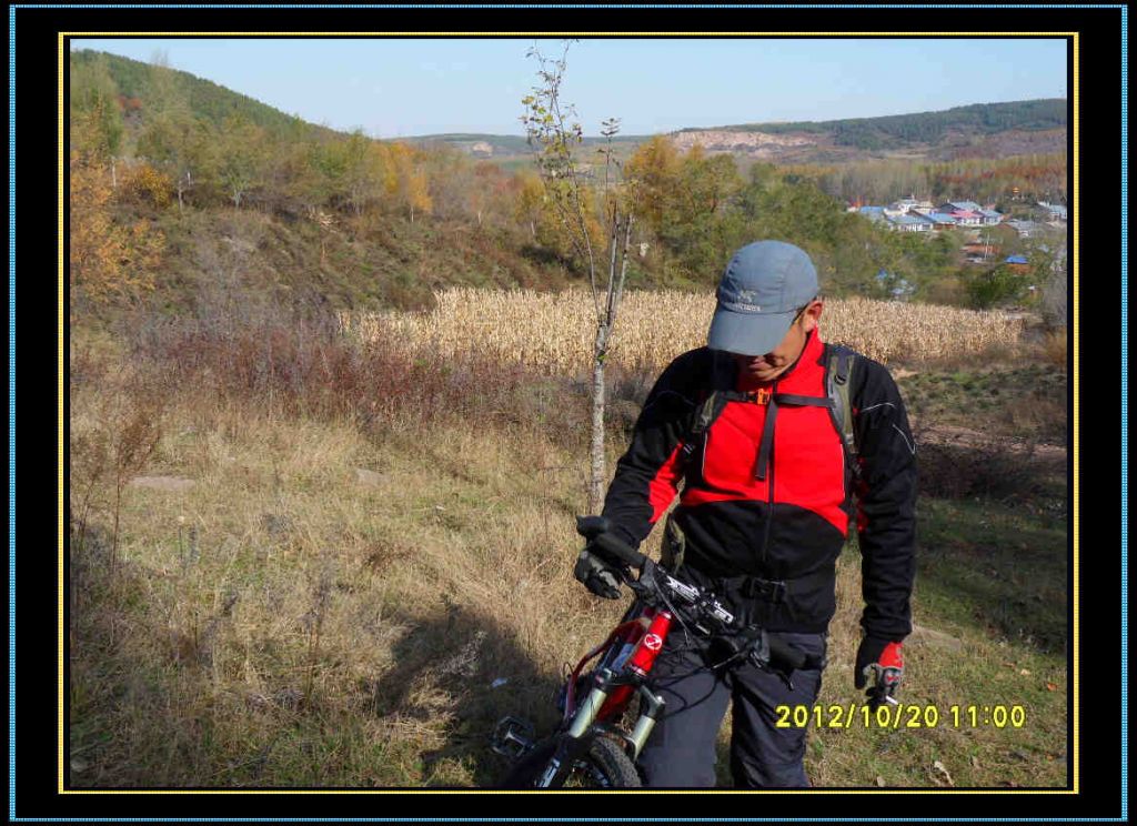SDC13003.jpg