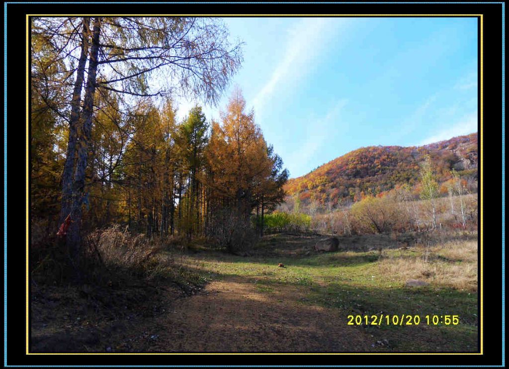 SDC12981.jpg