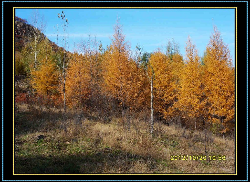 SDC12986.jpg