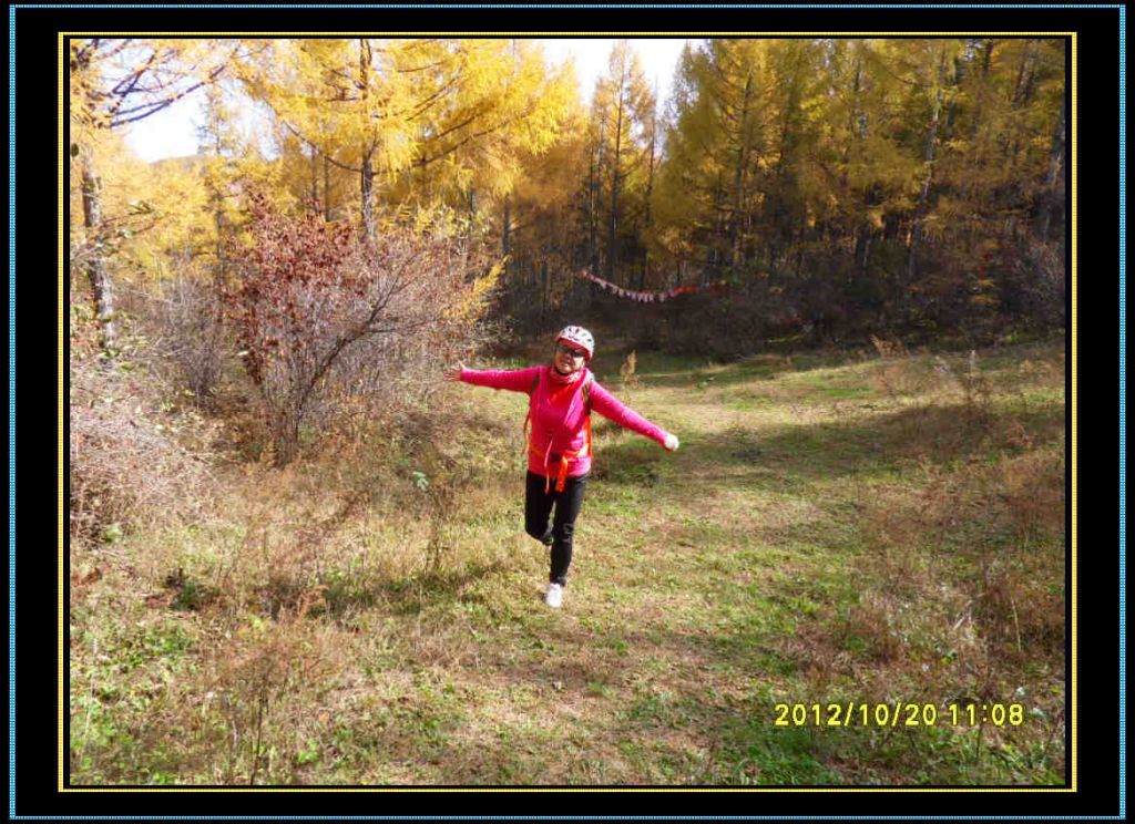 SDC13038.jpg