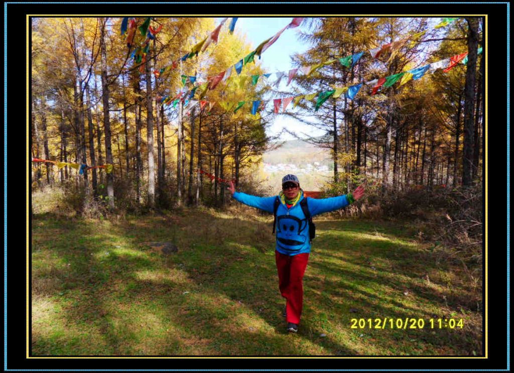 SDC13026.jpg