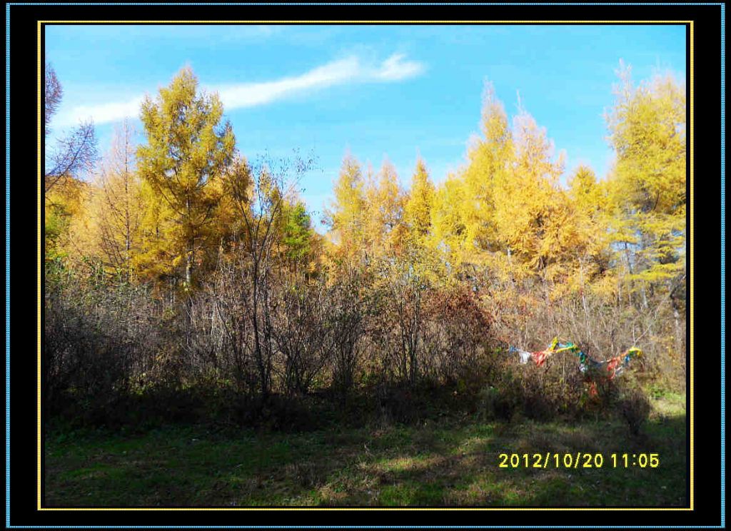 SDC13028.jpg