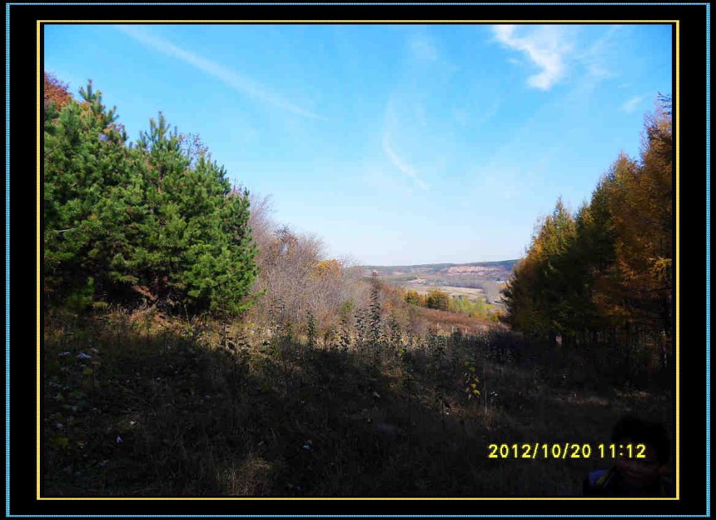 SDC13053.jpg