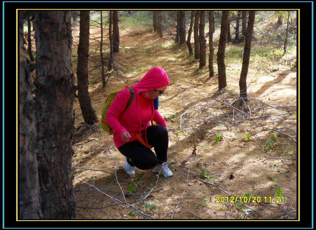 SDC13097.jpg