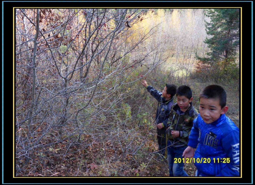 SDC13121.jpg