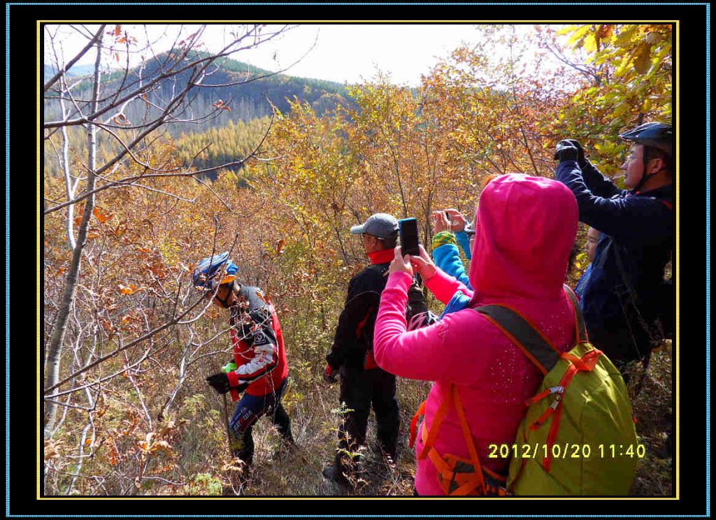 SDC13170.jpg