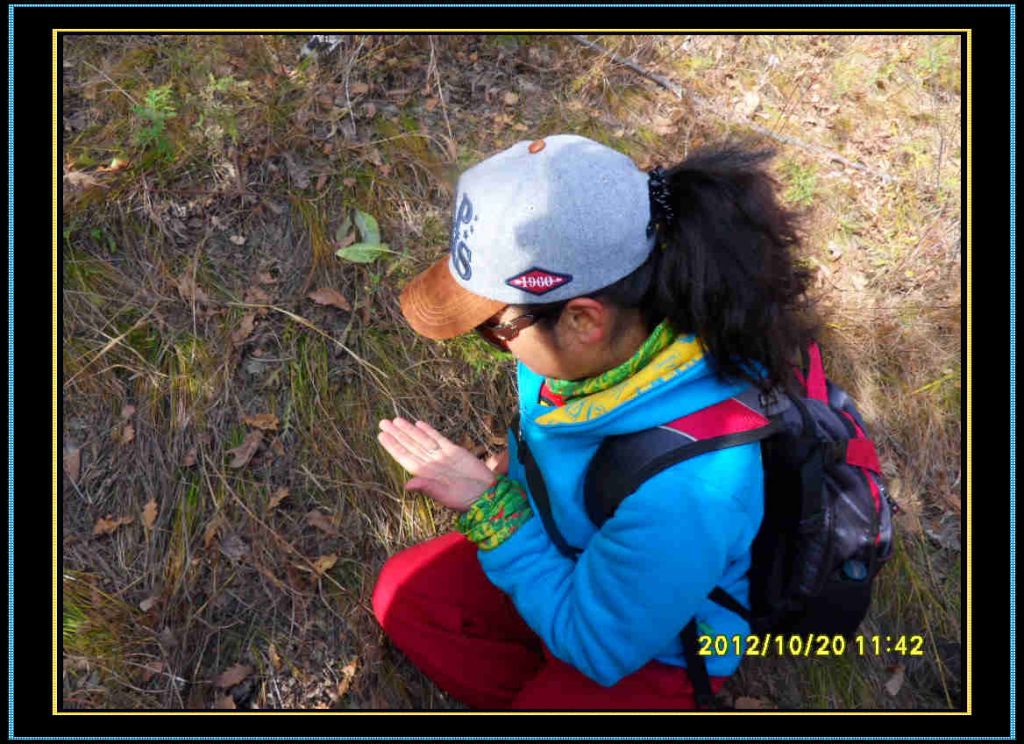 SDC13180.jpg
