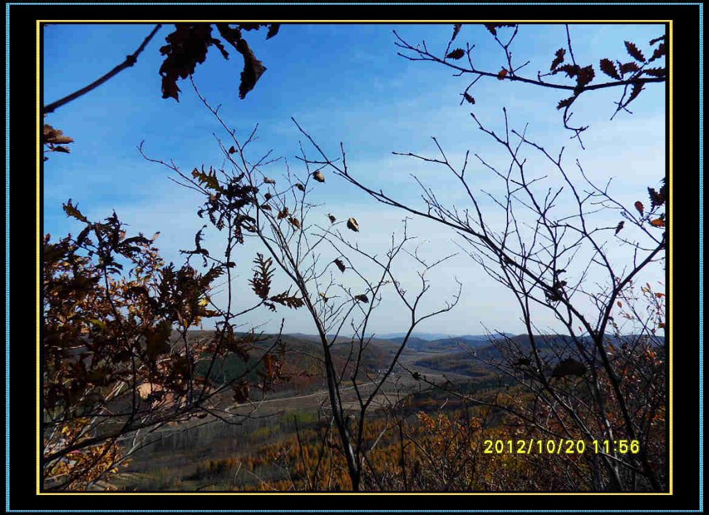 SDC13226.jpg