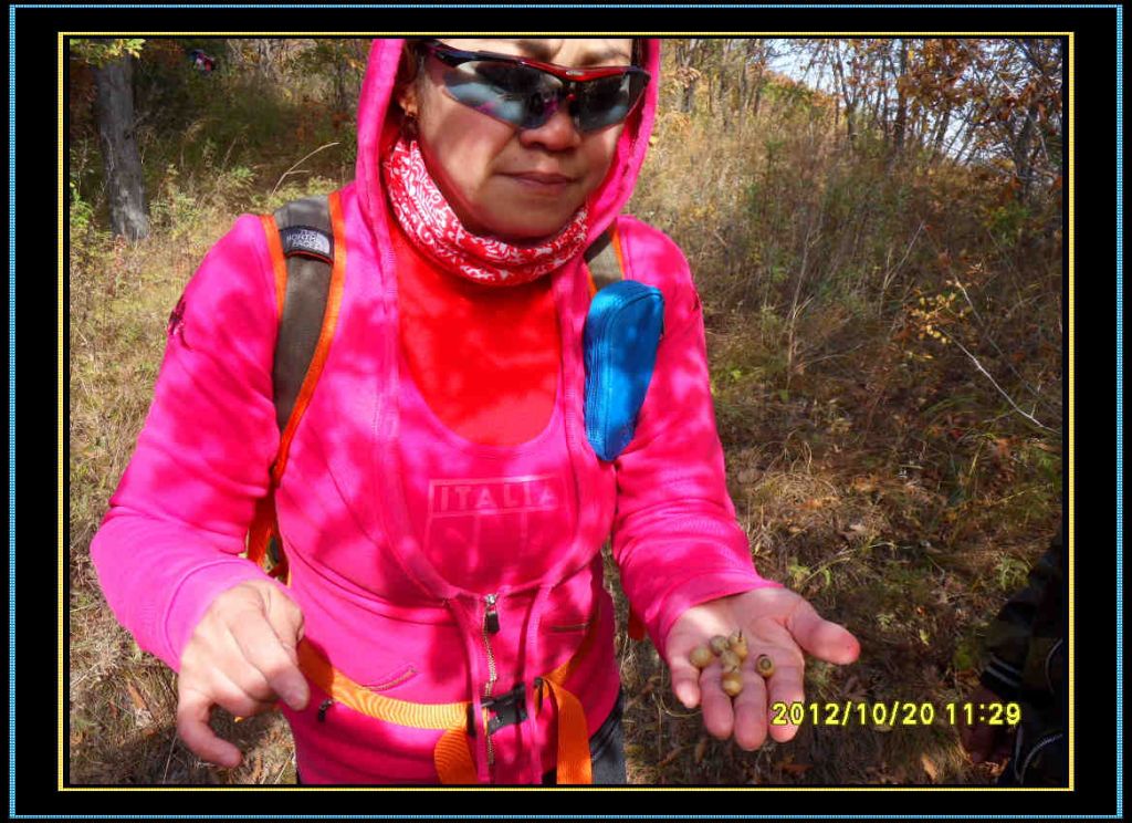 SDC13134.jpg