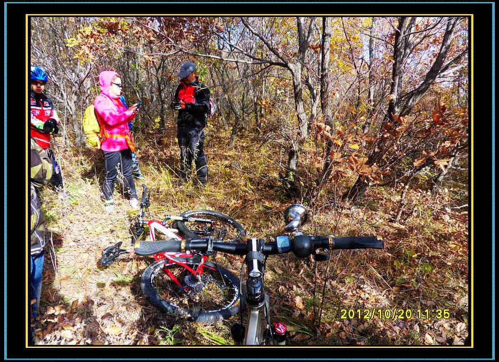 SDC13162.jpg