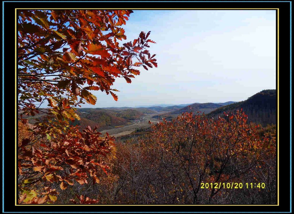 SDC13174.jpg