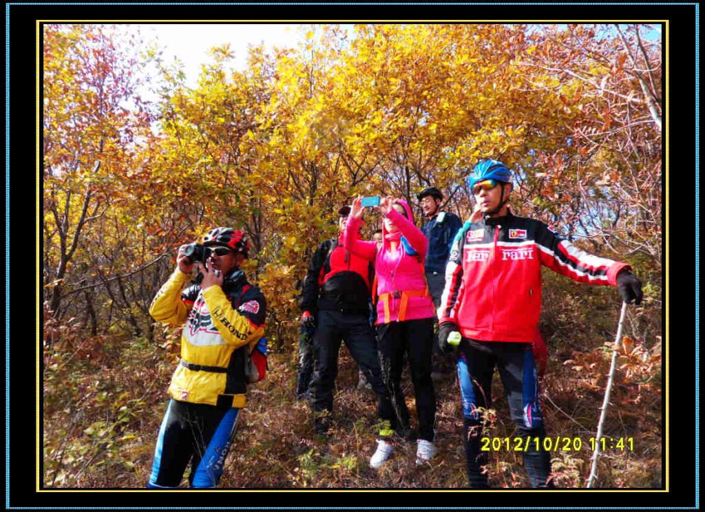 SDC13175.jpg