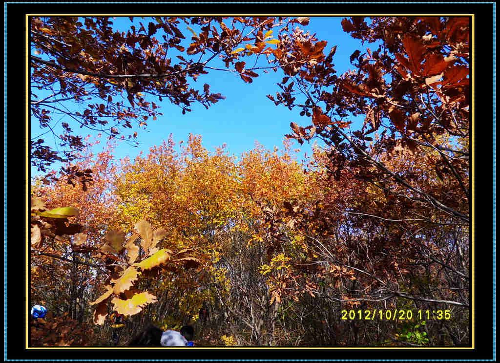 SDC13159.jpg