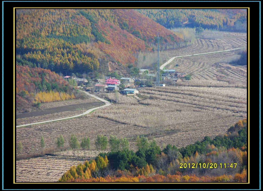 SDC13208.jpg