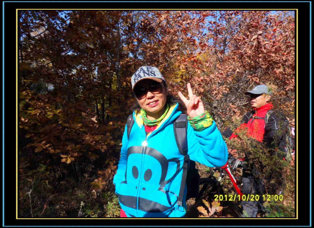 SDC13233.jpg