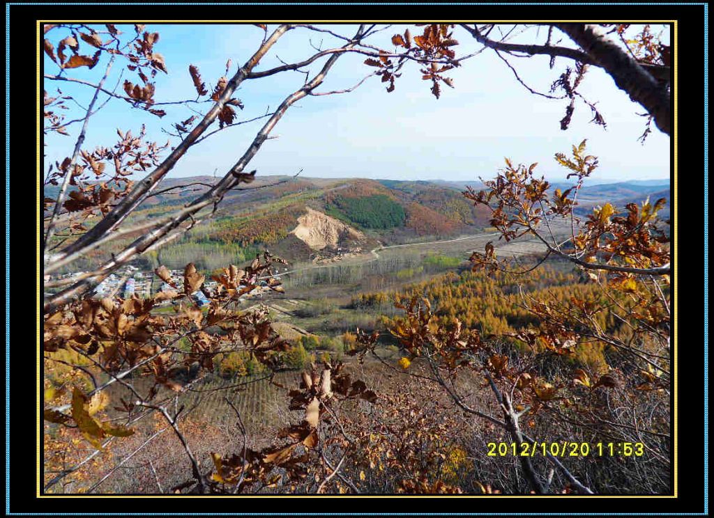 SDC13214.jpg