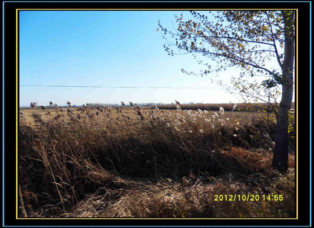 SDC13300.jpg