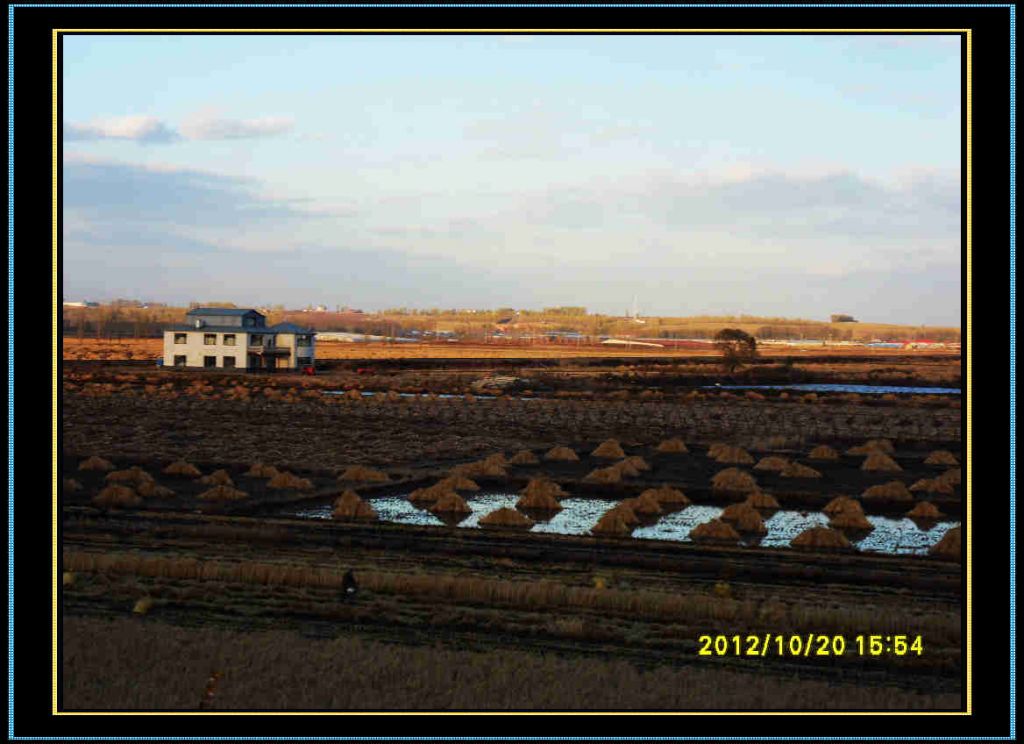 SDC13367.jpg