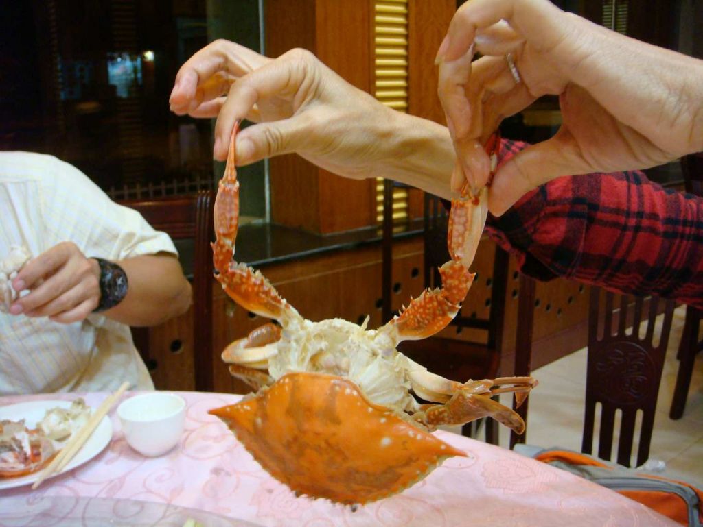 �糿����з