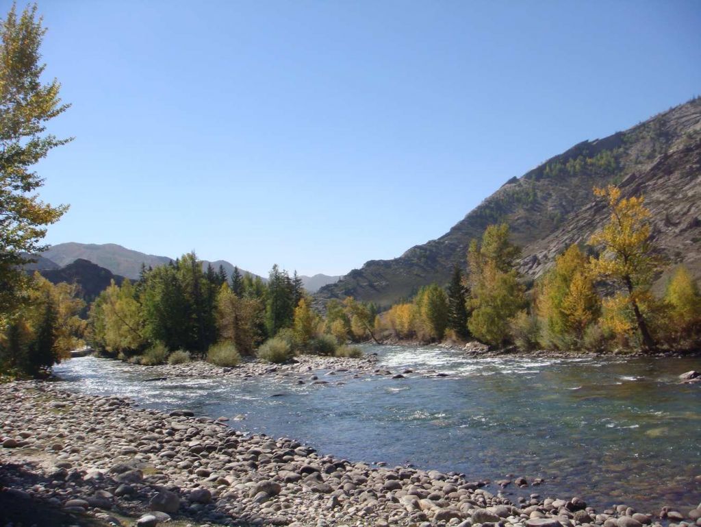 DSC00055.jpg