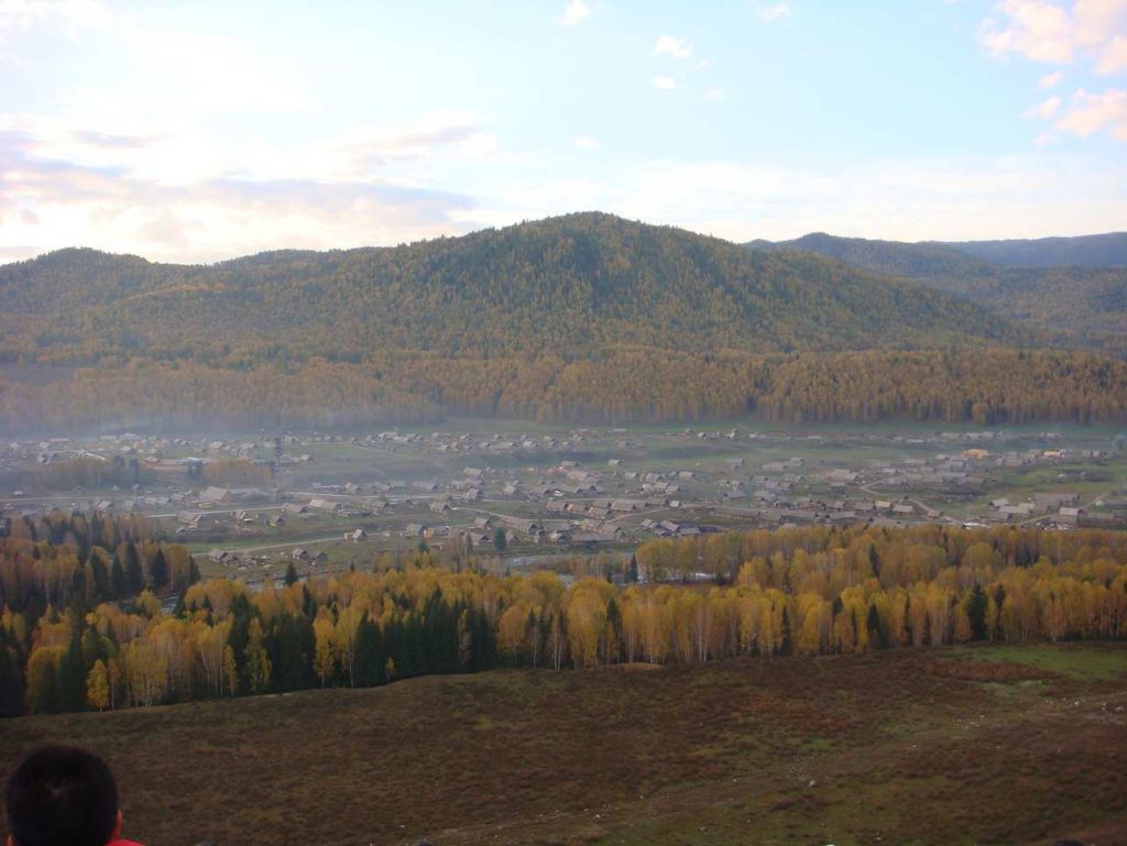 ĺ�����ֵĺ�ľ��