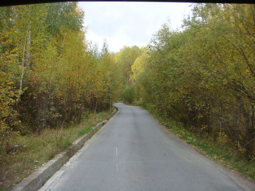 DSC00175.jpg