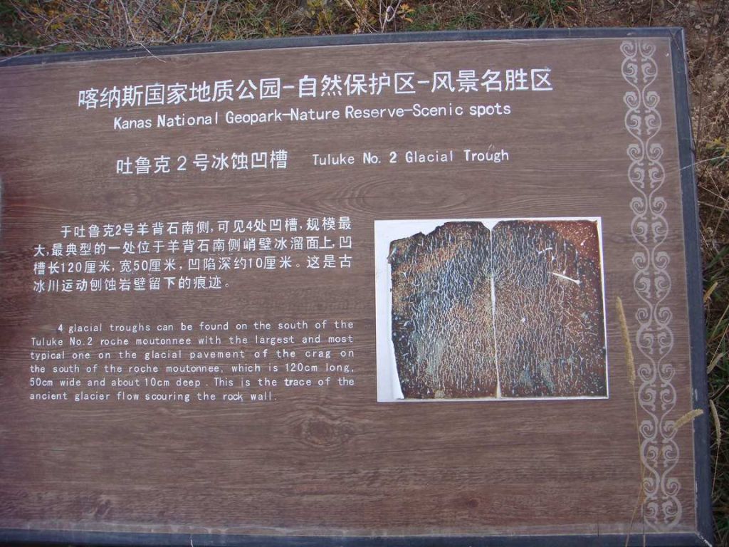 DSC00328.jpg