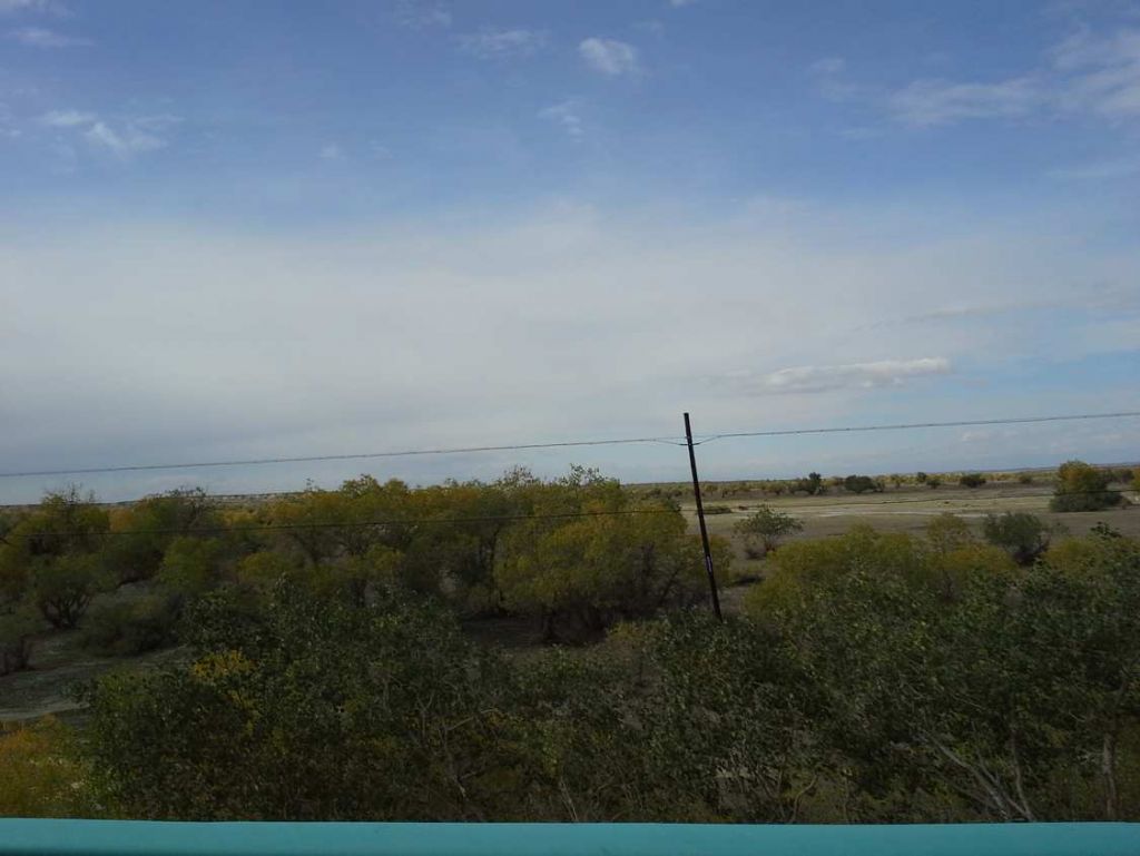20120922_161644_1672832.jpg