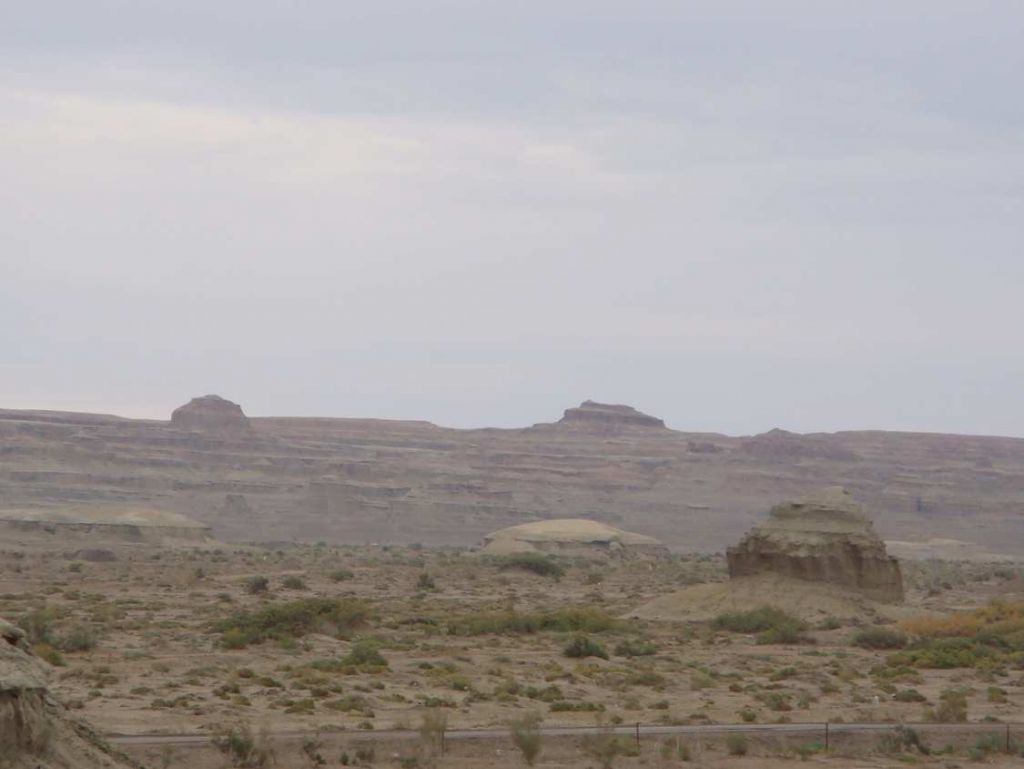DSC00663.jpg