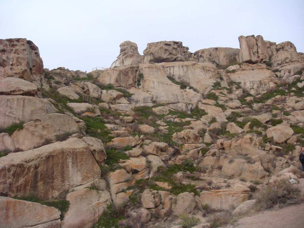 DSC00752.jpg