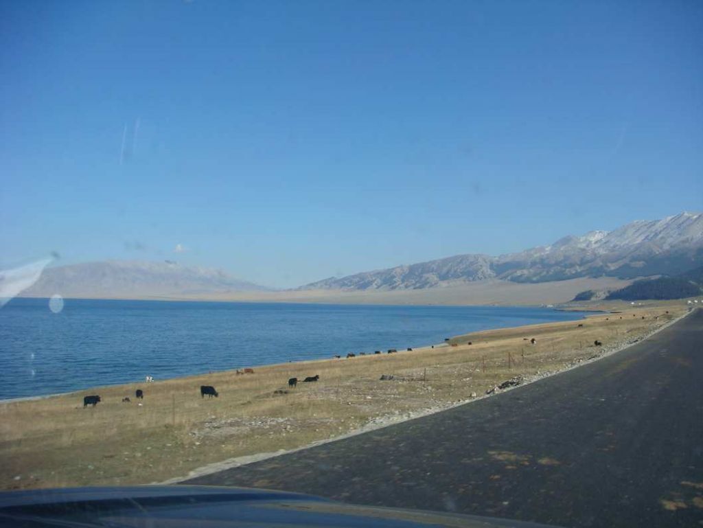 DSC00927.jpg