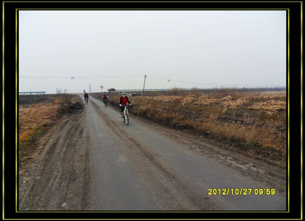 SDC12887.jpg