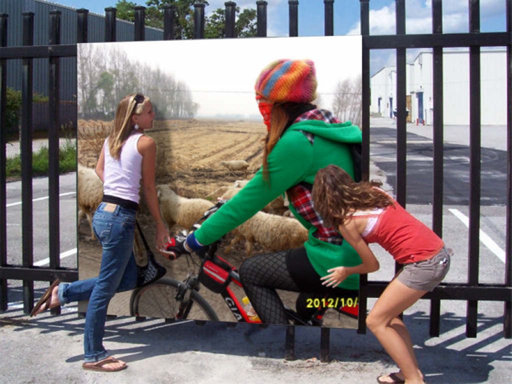 SDC12901.jpg