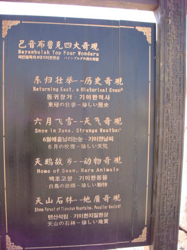 DSC01065.jpg