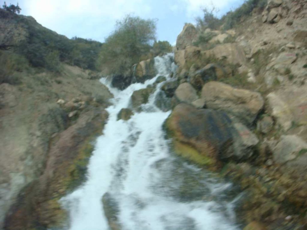 DSC01108.jpg