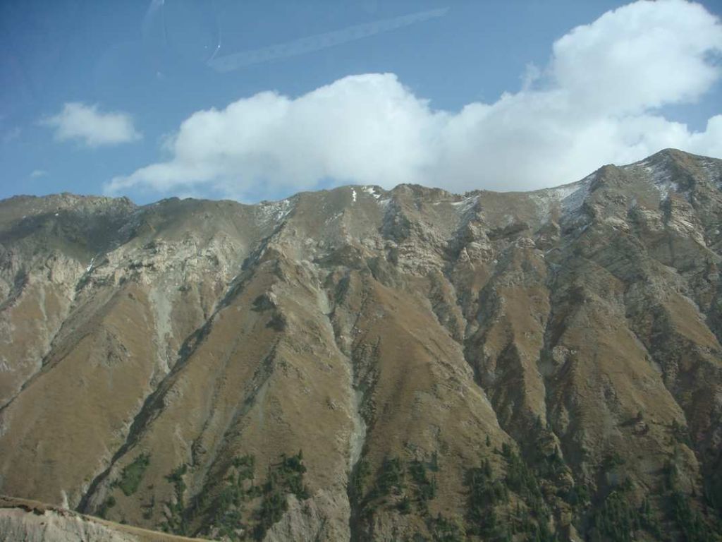 DSC01083.jpg