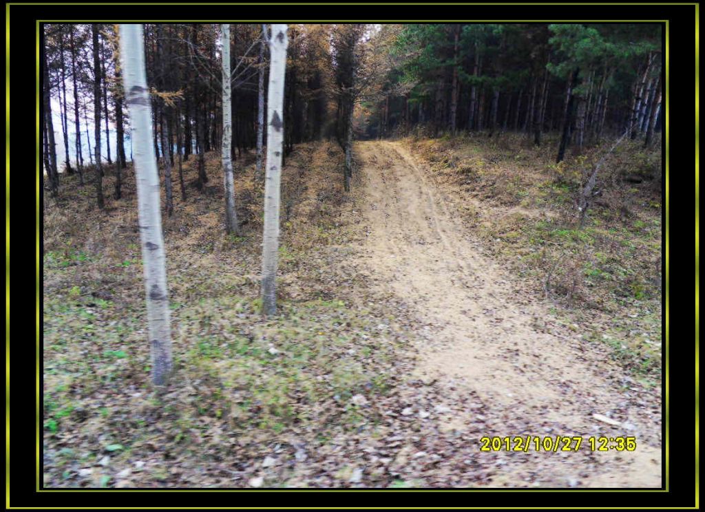 SDC13076.jpg