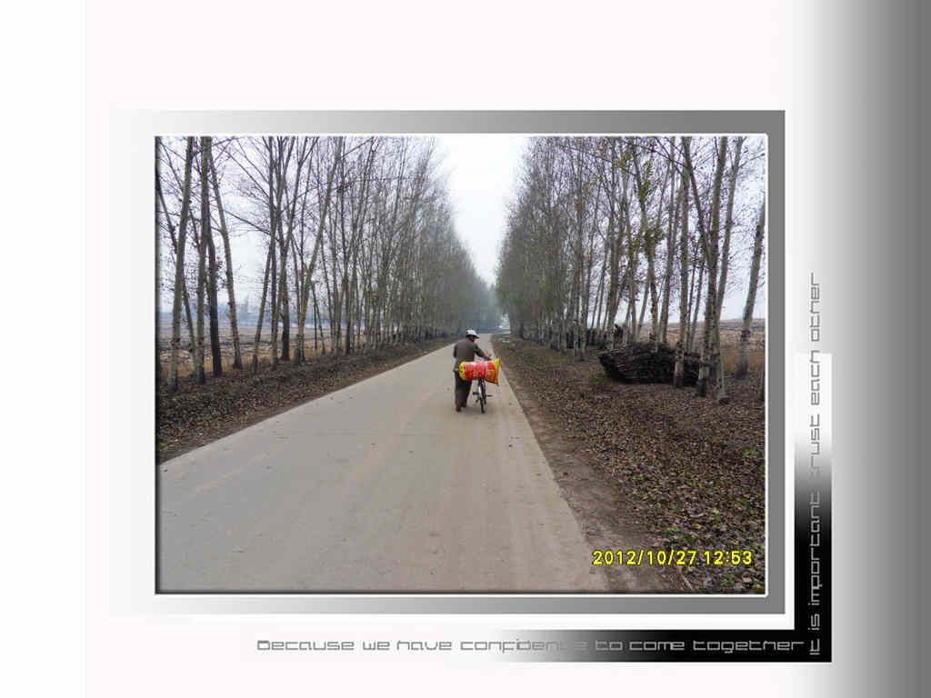SDC13077.jpg
