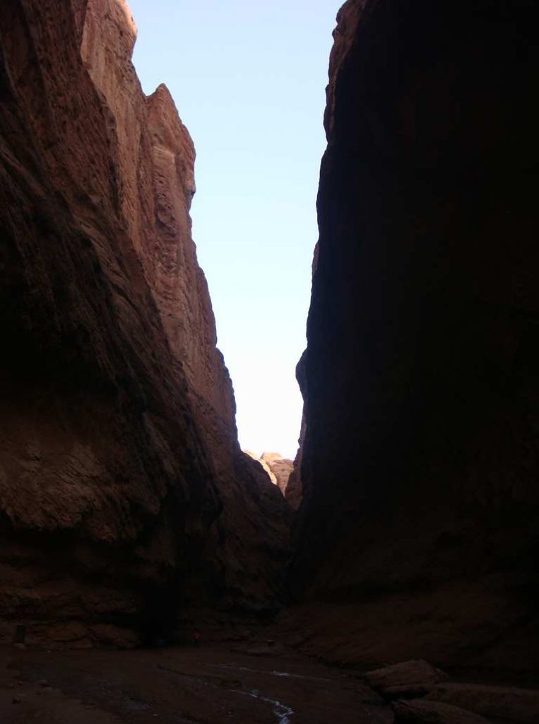 DSC01202.jpg