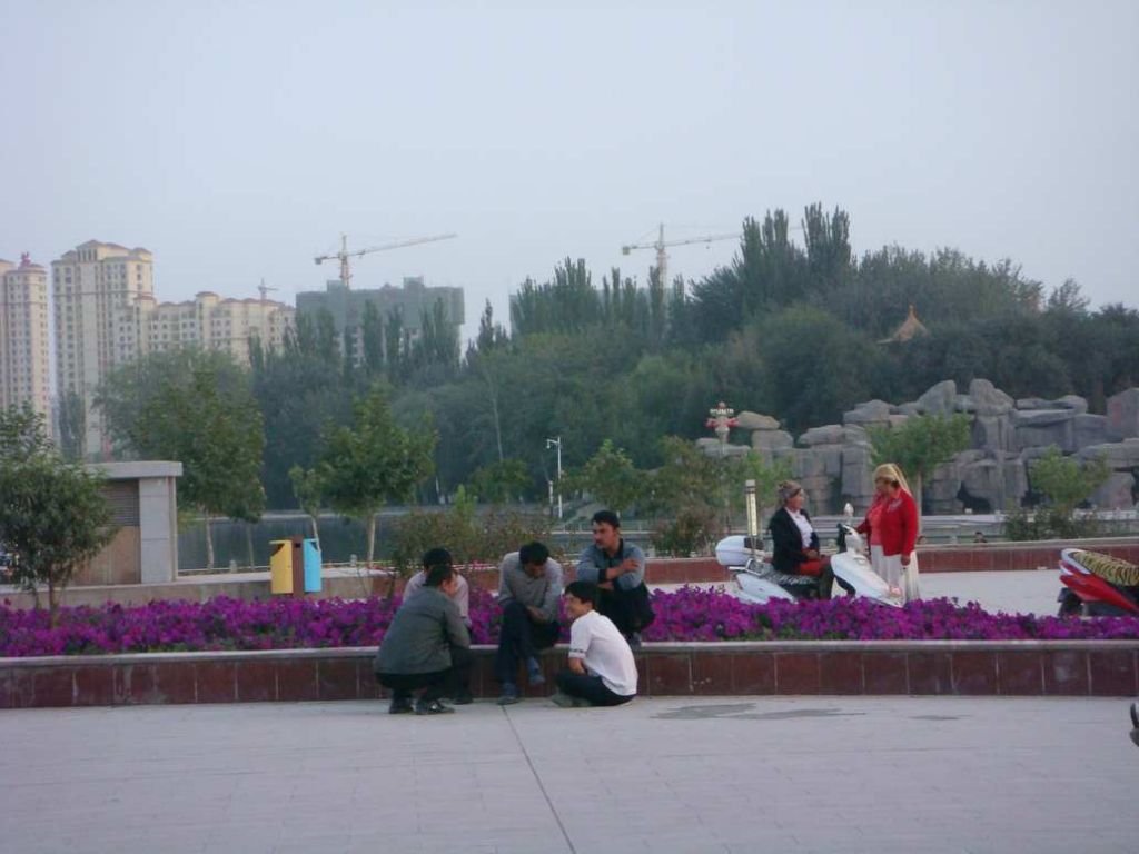 DSC01332.jpg