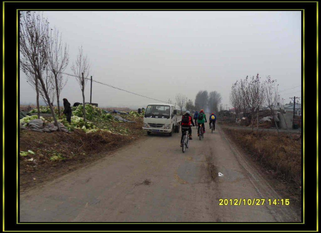 SDC13123.jpg