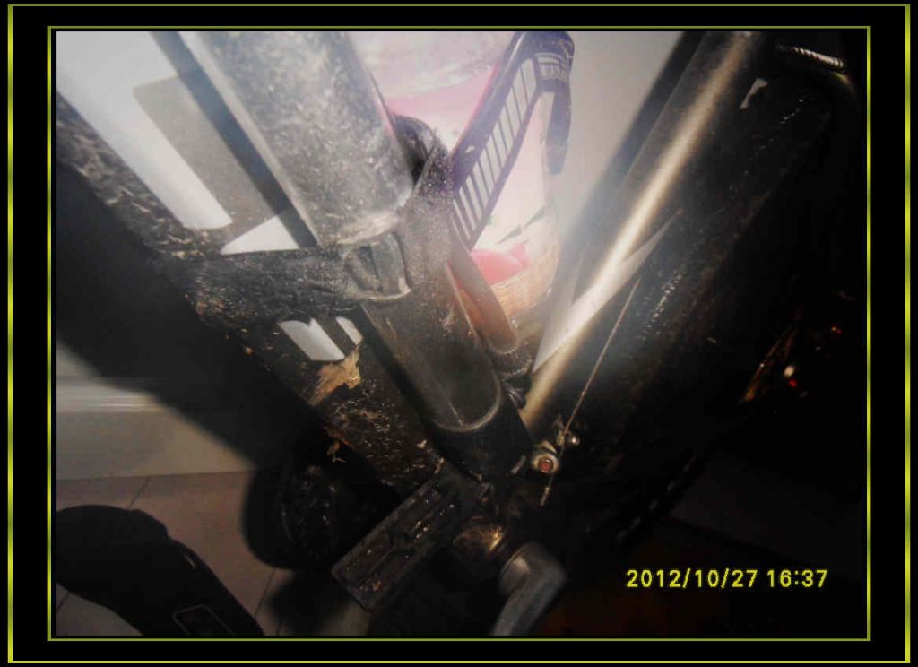 SDC13139.jpg