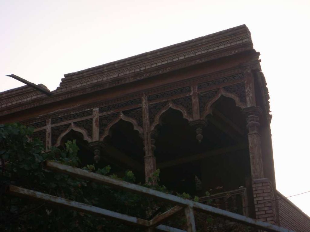 DSC01462.jpg
