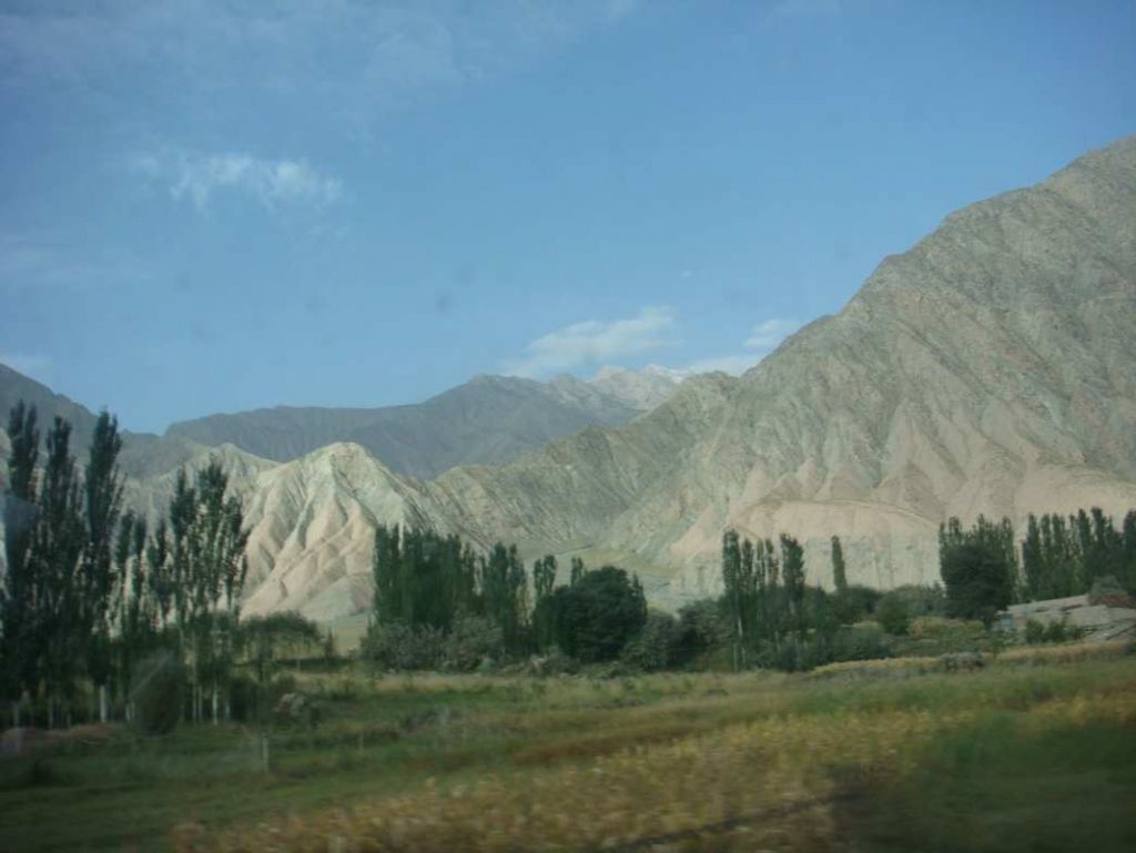 DSC01488.jpg