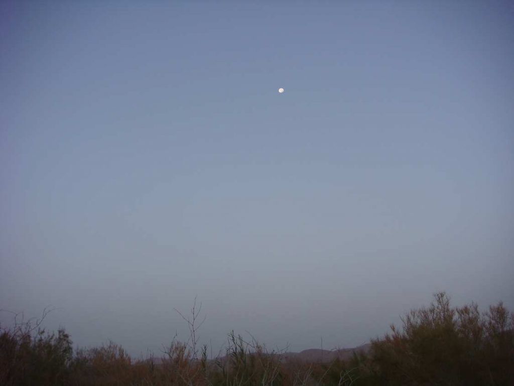 DSC02063.jpg
