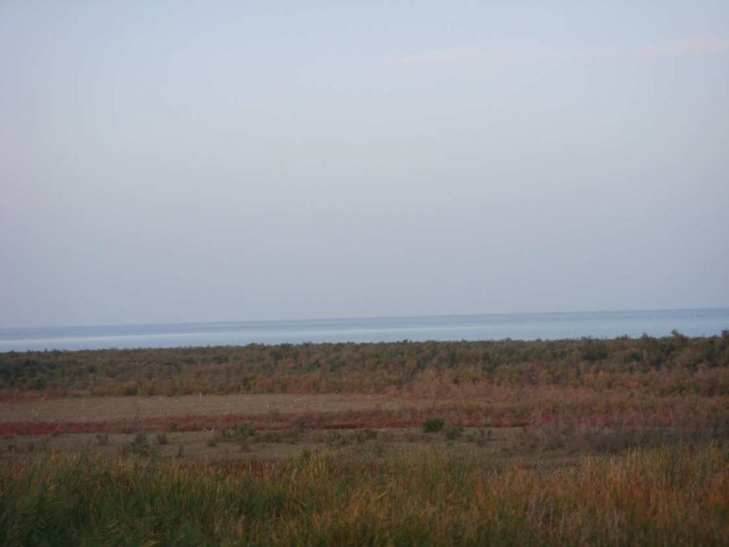 DSC02270.jpg