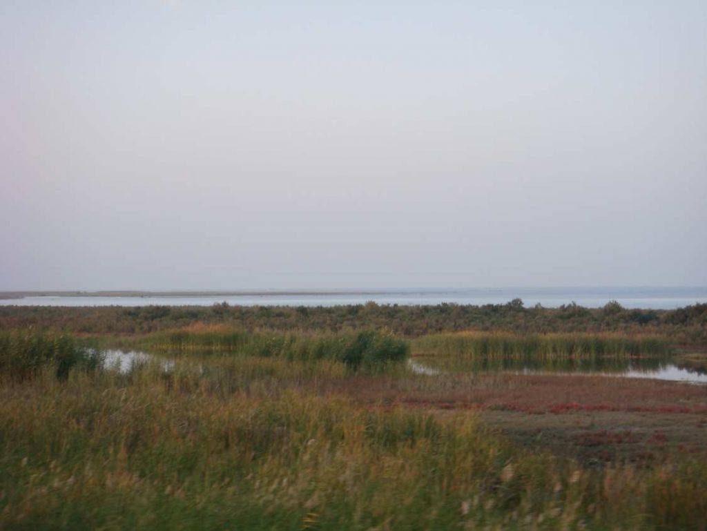 DSC02271.jpg