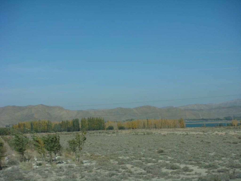 DSC02447.jpg