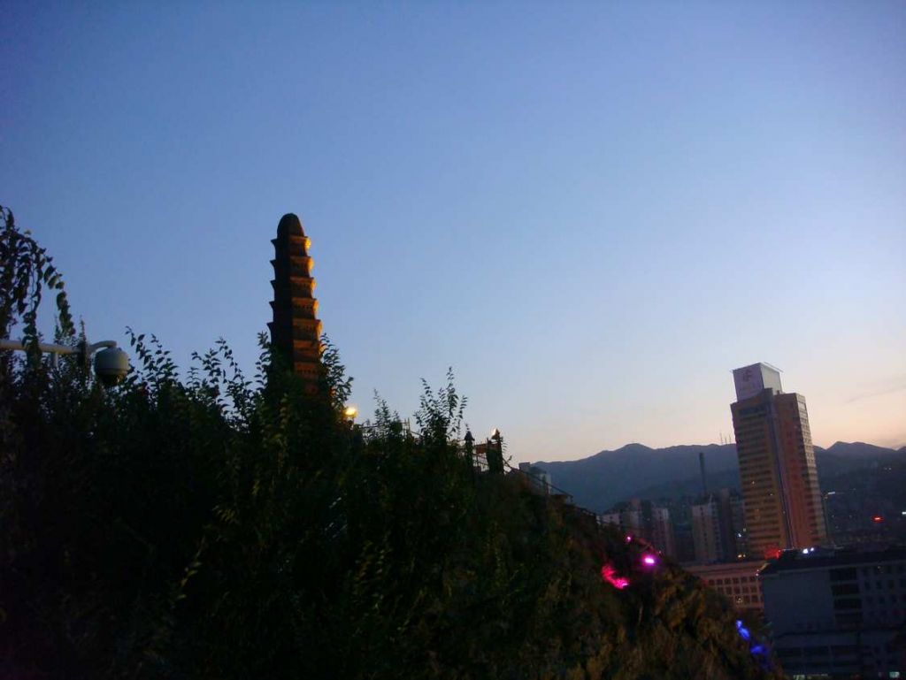 DSC02463.jpg